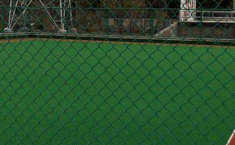 timg (2).jpg timg (2).jpg